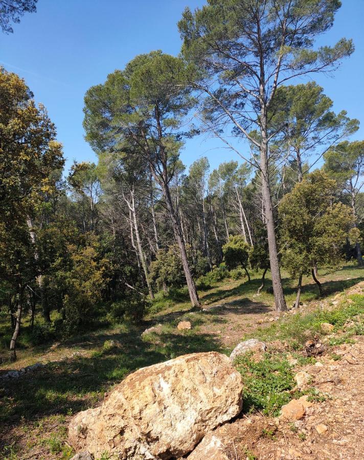 Alojamento de Acomodação e Pequeno-almoço Les Hauts Du Peireguier